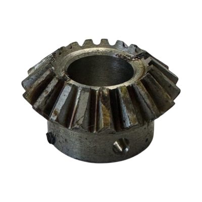 PIÑON CONICO